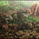Illustration for article titled Sweet Mother Of Dragons, Get A Load Of King's Landing Recreated In Minecraft